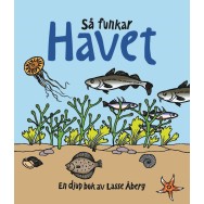 Så funkar havet