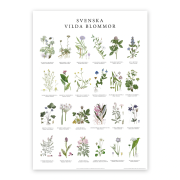 Poster Vilda Blommor 50x70cm